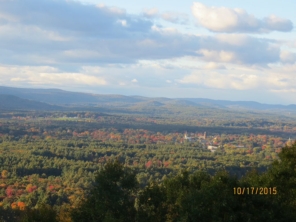 View from the Log Cabin